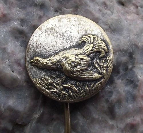 Vintage Giant Grouse Capercaille Czech Hunting Association Game Bird Pin Badge - Picture 9 of 10