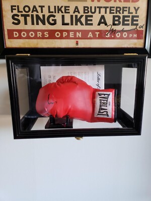 Boxing Glove Display Case WBA WBC Black Wood Cabinet IBF Championship Shadow Box