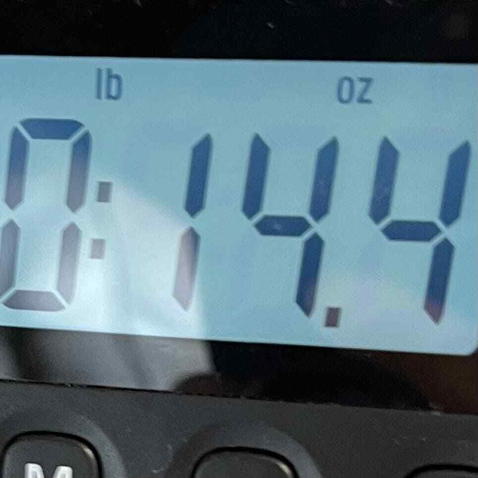 Picture 10 of 10
