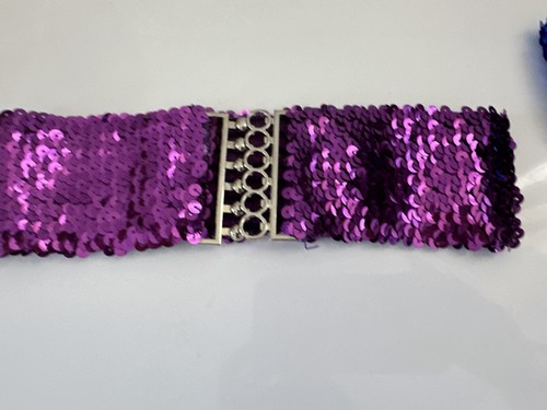 Women Gold Shine Silver Bling SEQUINS Sequined Waistband Waist band Belt OZ SALE - Picture 6 of 29