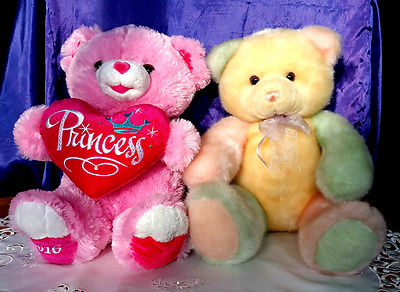 pink princess teddy bear