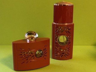 Flacons De Parfum Yves Saint Laurent Opium Secret 50 Ml x 2 Vides Collection