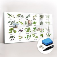 Magnetboard Glas Beschreibbar Inkl Magneten Marker Notizen Baumarten 120X60 Cm