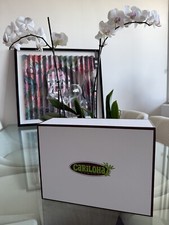 cariloha bamboo sheets queen