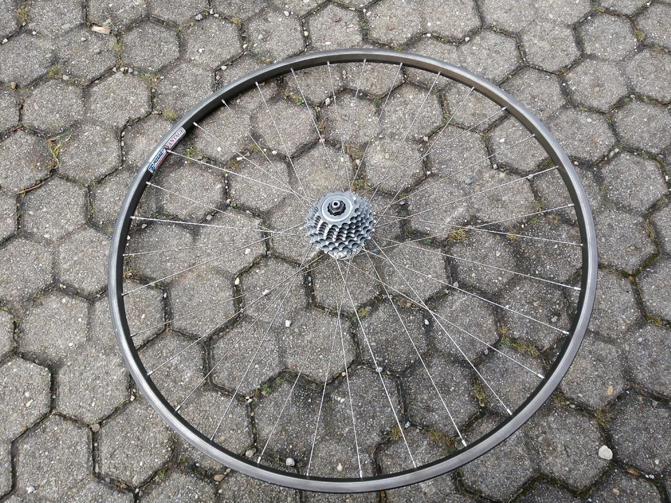 Ritchey Vantage Campagnolo 28" Hinterrad Felge Nabe 8Fach Ohne Kassette !