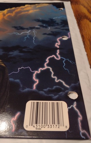 Mead Schim Schimmel Bengal Tiger Lightning Cloud 2 Pocket School Folder 2000 Vtg - Picture 3 of 4