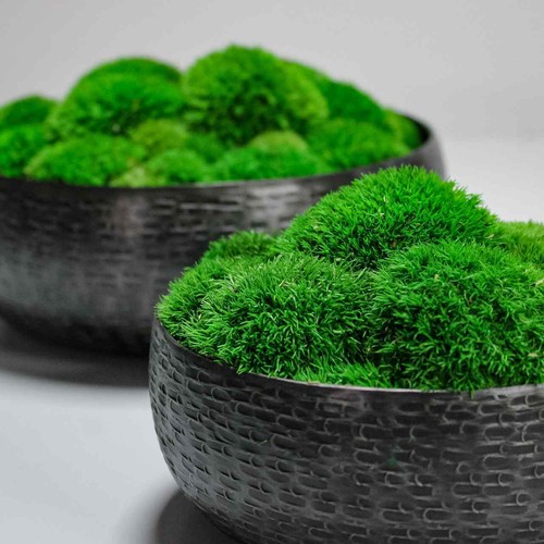 Moss Bowl Preserved Decorative Table Centrepiece Californian Moss Art Decor - Picture 3 of 10