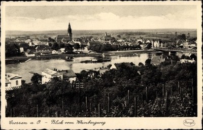 Ak Krosno Odrzańskie Crossen Oder Ostbrandenburg, Blick vom... - 10532321