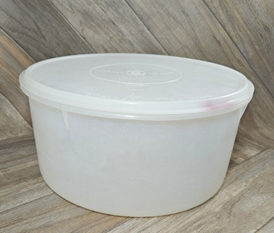 Vintage Tupperware Large Sheer Storage Carry-All #256 & Tupper Seal Lid #224
