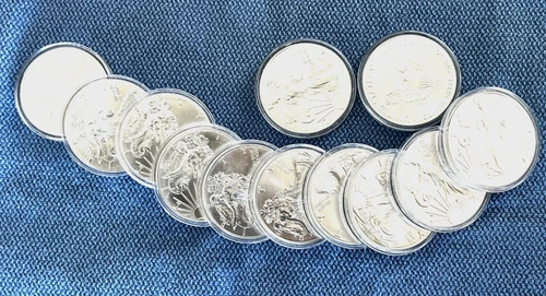 Silver Walking Liberty in Capsule 1 oz .999 AU random dates 2009-2016 $95.95 ea