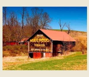 Mail Pouch Tobacco Barn Photo Sign Ohio Chewing Tobacco