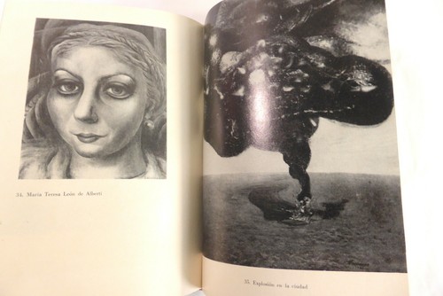 Kunstsammlung 8 Siquieros Realitäteneinführung Rachel Tibol - Bild 5 von 12