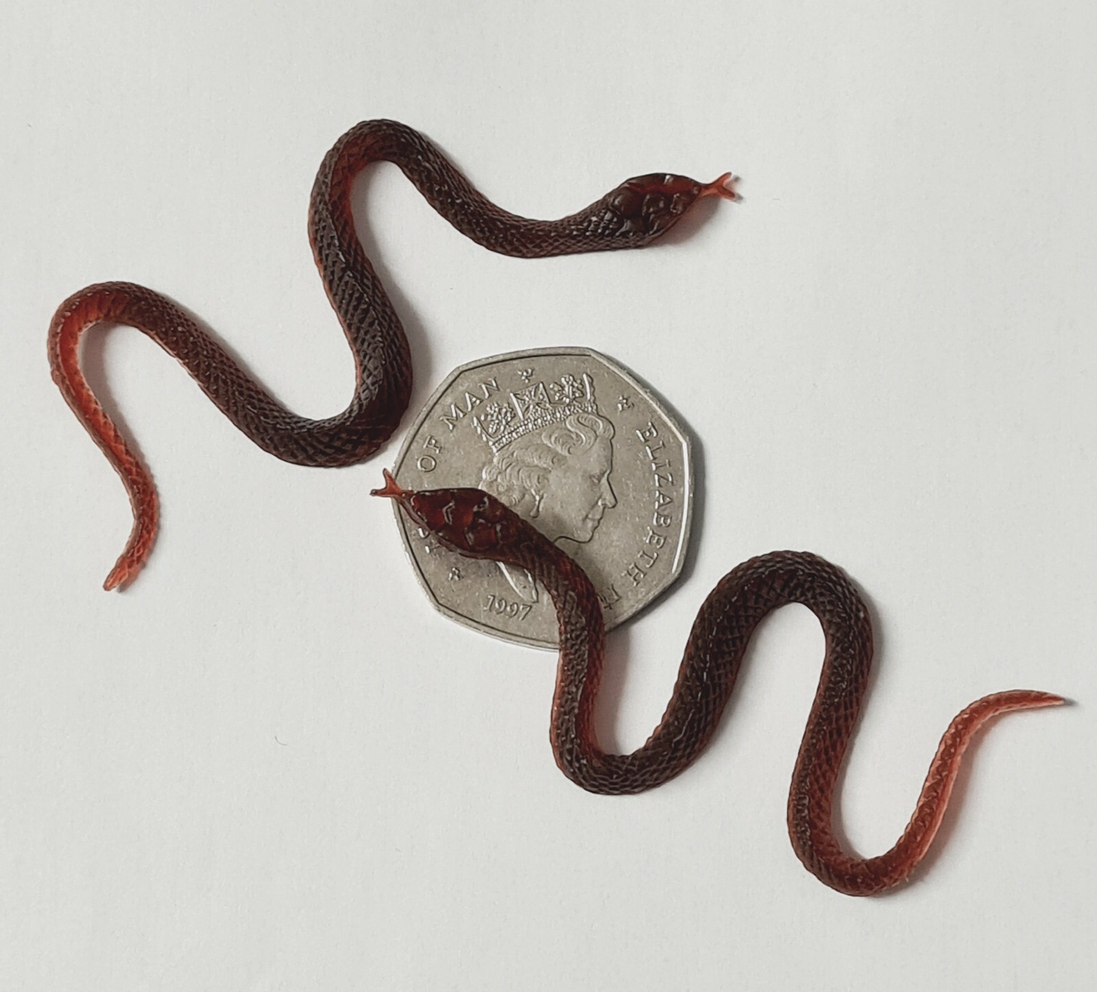 2 x Fake Snake Tricks Prop Party Children Funny Prank - Halloween | eBay 2 x Fake Snake Tricks Prop Party Children Funny Prank - Halloween | eBay