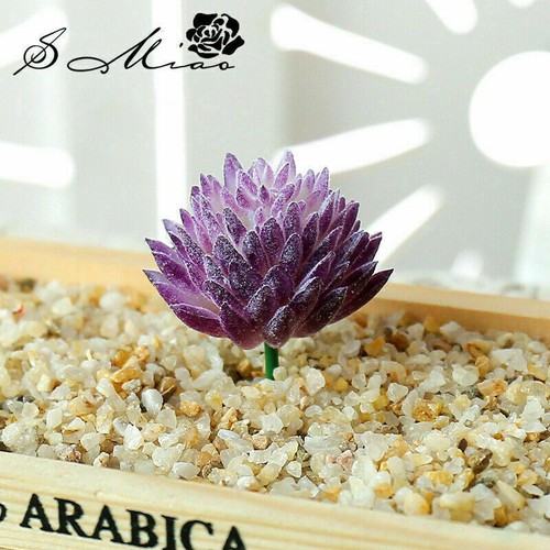 Artificial Succulents Plant Unpotted Bulk Realistic Home Indoor Garden Decor DIY - Picture 36 of 70