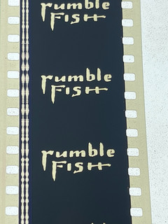 RUMBLE FISH original 35mm CINEMA TRAILER 1983 FRANCIS FORD COPPOLA