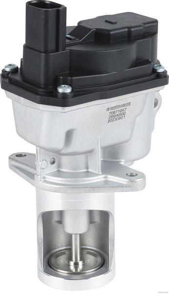 Herth+Buss Elparts Agr-Ventil U.A. FüR Audi, Porsche, VW-image