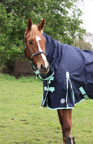Alfombra de caballo ligera sin relleno 600D estándar y combo cuello impermeable - Imagen 11 de 38