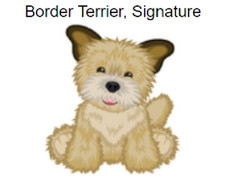 Webkinz Classic Signature Border Terrier Code Only 
