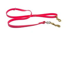 5 Ft Flat Beta Leash with Custom Brass 3/4" Tag