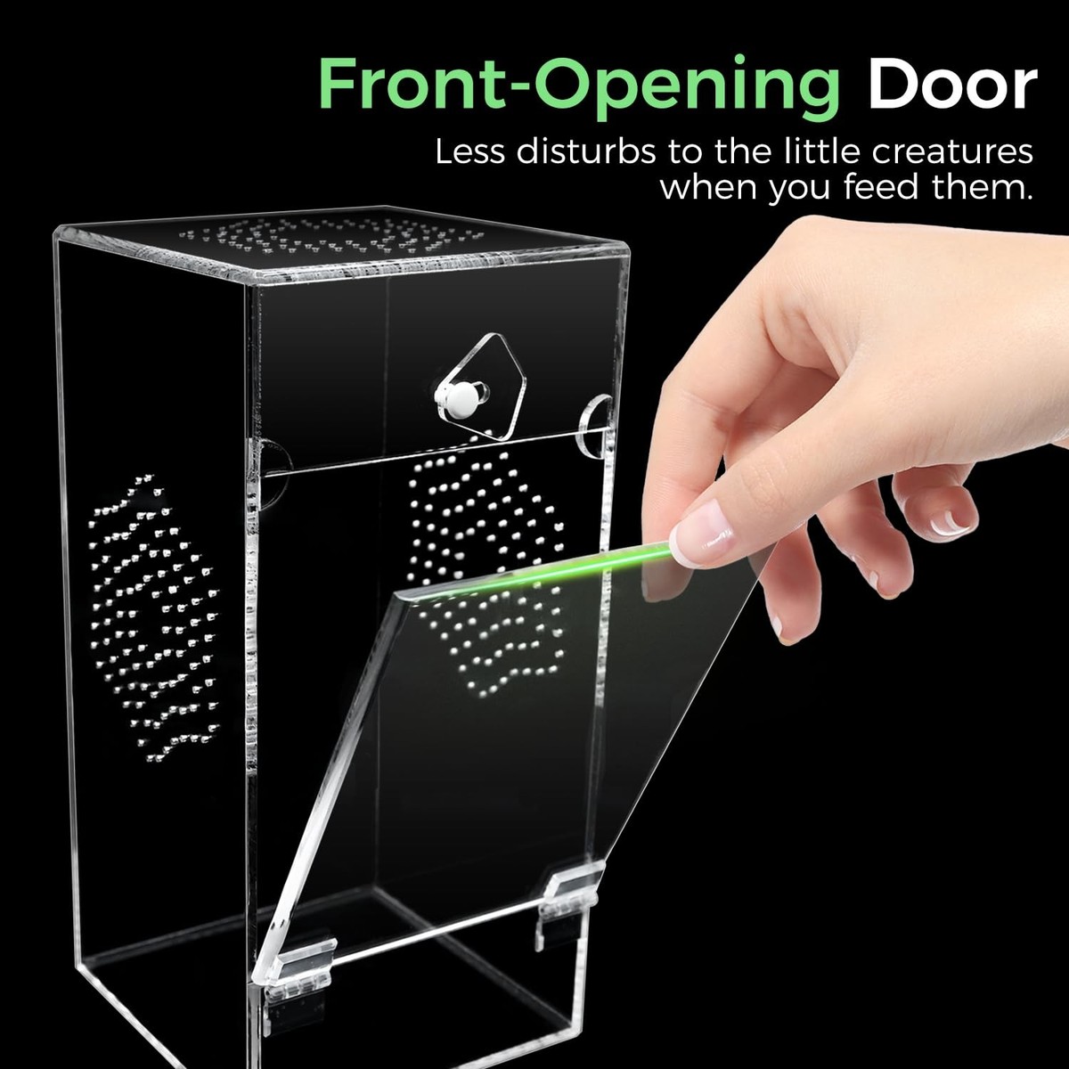 Acrylic Jumping Spider Enclosure Secure Front Opening Door 4x4x8