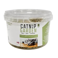 Multipet Catnip Garden Tub Toy, 1.5"