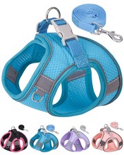 Step-In Dog Harness and Leash Set for Small Medium Dogs - Training and Walking