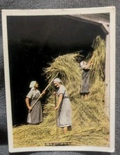 Wk2 Fotokarte A H Deutschland Feldernte Landwirtschaft Ernte