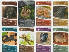 # 8 różnych kart kolekcjonerskich "Netto Oceania 11" (4) {K 052}