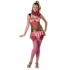 Veiled Vixen Halloween Costume Junior Size S NEW