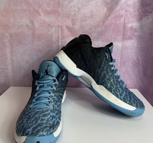 jordan air 29 low