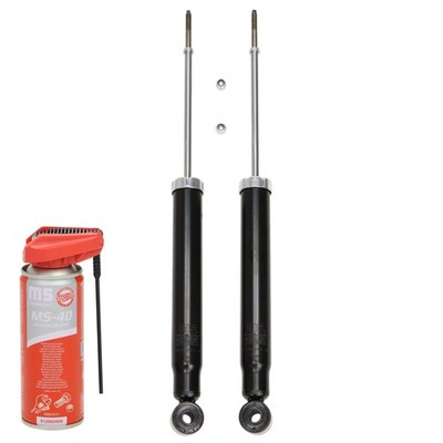 2x Stoßdämpfer + 1x Multifunktionsöl hinten für HYUNDAI SANTA FE I (SM)