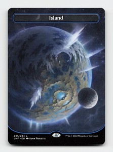 Island (241) (Borderless) - Unfinity
