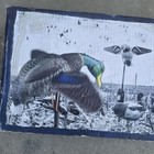Picture 3 of 13