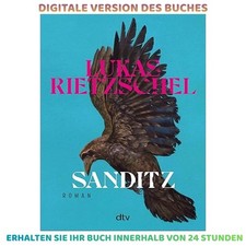 Sanditz: Roman Das große Epos der Nachwend, ...