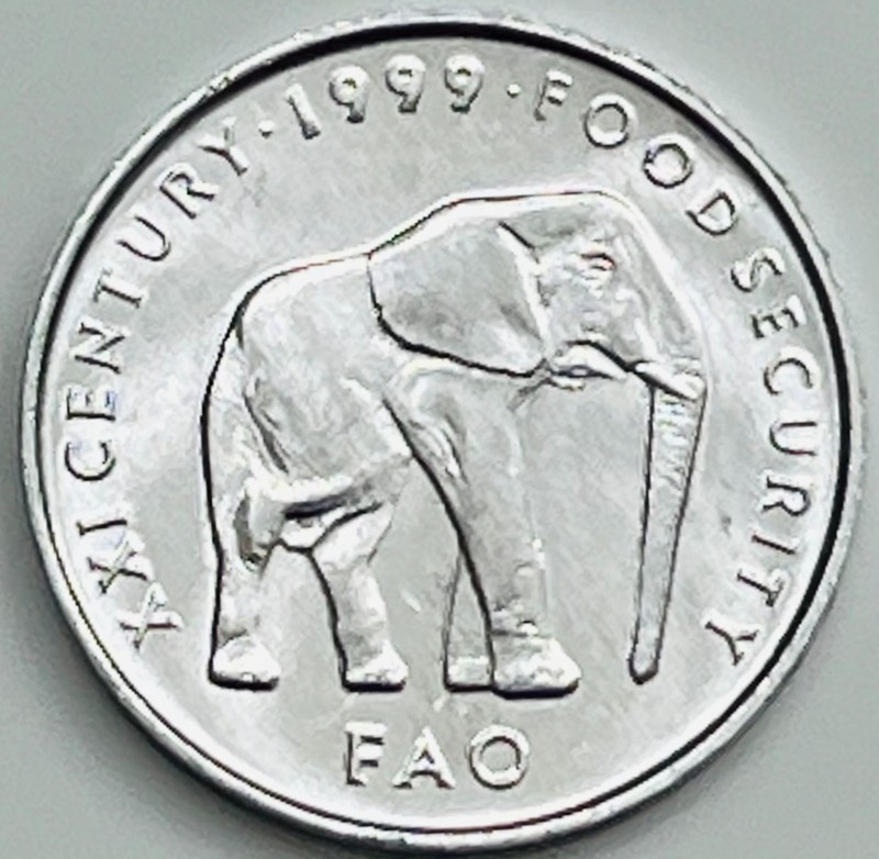 1999 Somalia 5 Shillings KM# 45 Uncirculated Condition