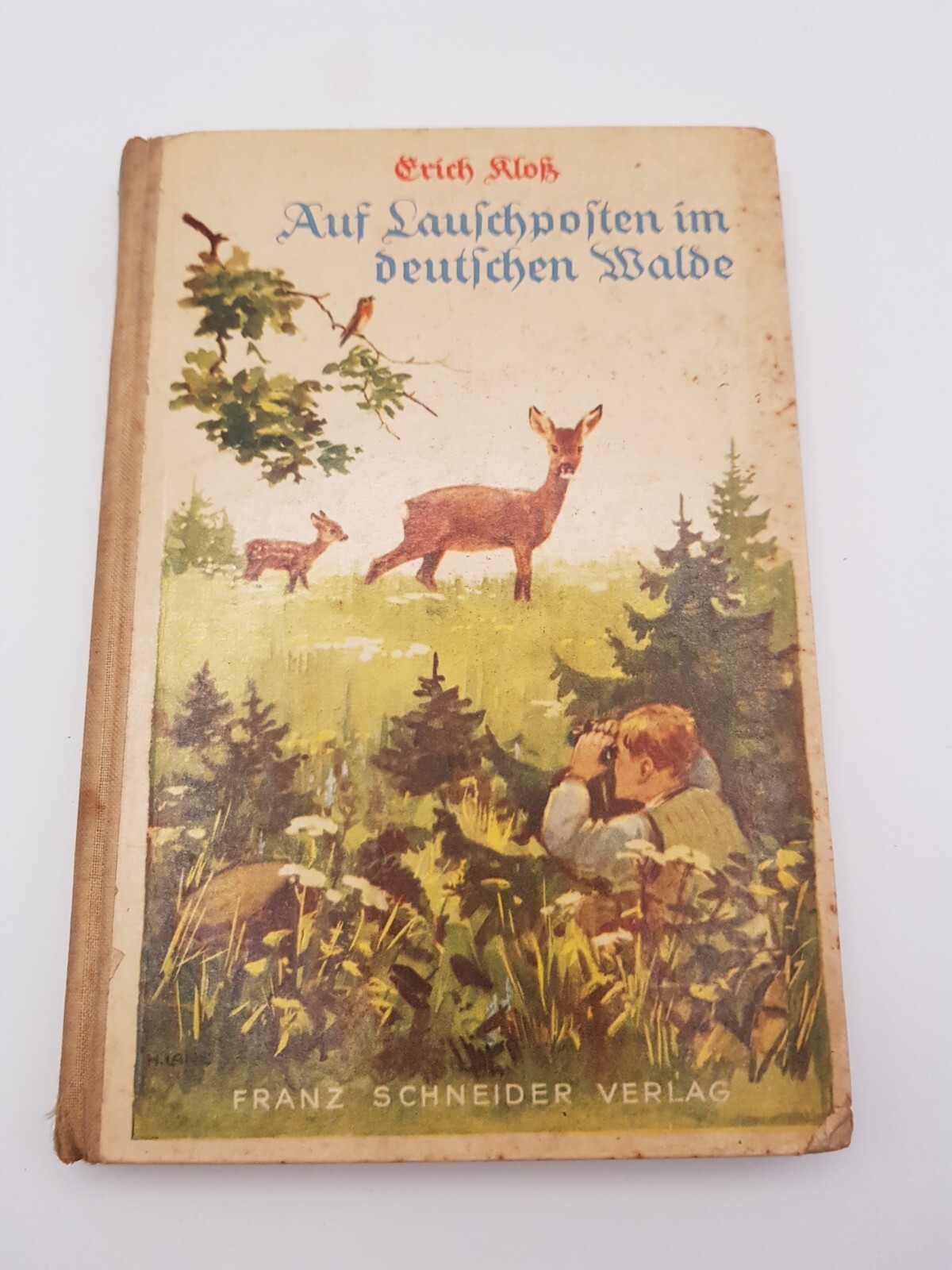 Bild 1 von 7