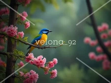 Digital image picture photo wallpaper background desktop art AI