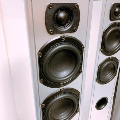 Piega TS5 スイス製トールボーイスピーカー Piega TS5 Swiss-made tallboy speaker | eBay