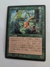 Ernham Djinn Japanese Foreign Black Border FBB 4th Edition mtg 1996