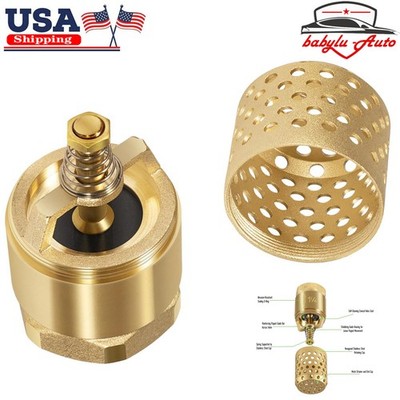1-1/4'' Foot Valve w/ Mesh Strainer for Well Jet Pumps, Irrigation, Water Systems