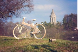Holzfahrrad Aus Eschenholz Holz Fahrrad Damen Ebay