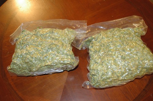 Fresh Hops! 2012 crop, Galena, Horizon, Meridian, Newport, Northern Brewer - Picture 2 of 3