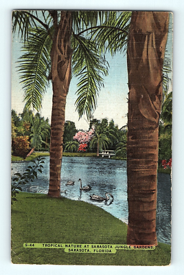 #ad c1940s Tropical Nature at Sarasota Jungle Gardens Florida Linen Postcard G8 $5.25