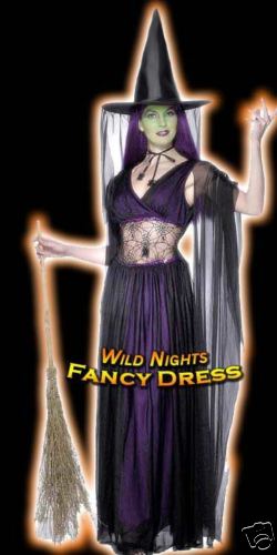 Halloween Ladies Sorceress Costume