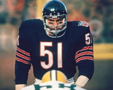 Chicago Bears DICK BUTKUS Glossy 8x10 Photo NFL Football Print Poster HOF 79