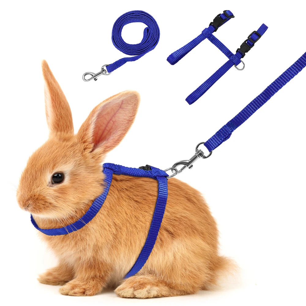 Rabbit harness and leash deals