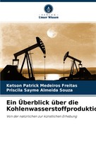 Ein ÜBerblick üBer Die Kohlenwasserstoffproduktion Freitas (U. A.) Taschenbuch