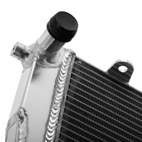 Radiatore di raffreddamento per BMW R1200R R1200RS 16-18 R1250R R 1250 RS 18-24 - Foto 12 di 13