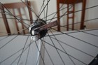 Bild 10 von 18