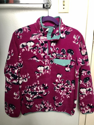 Patagonia Synchilla Snap T Fleece 